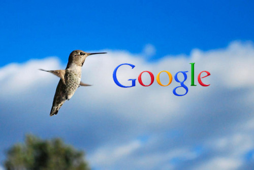 google hummingbird algoritması