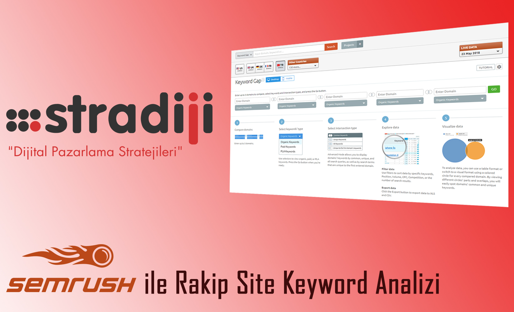 rakib-site-keyword-analizi