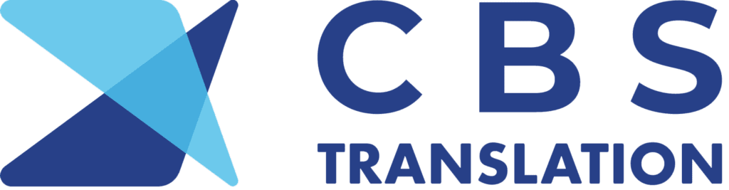 cbs312.com SEO Vaka Analizi
